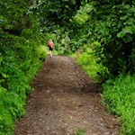 Zunächst führt der archäologische Panoramaweg etwas steiler durch den Wald