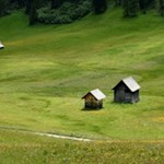 Ein Paradies der Vielfalt: die blumenreiche Plätzwiese