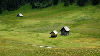 Ein Paradies der Vielfalt: die blumenreiche Plätzwiese
