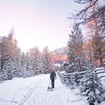 Die Rodelbahn wird von schneebedeckten Nadelbäumen umsäumt