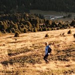 Durch die herbstlich gefärbten Wiesen zurück zur Halslhütte