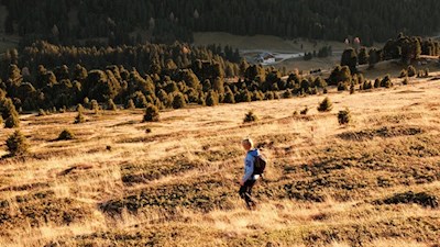 Durch die herbstlich gefärbten Wiesen zurück zur Halslhütte