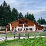 Neuhütt-Alm-oberhalb-von-Aldein