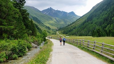 Der sanfte Weg zur Knuttenalm wird gerne von Familien begangen 