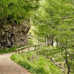 Sanft windet sich der Weg durch die sog. "Schramme"