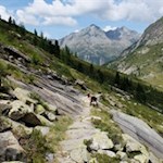 Anstieg hinter der Gelttalalm