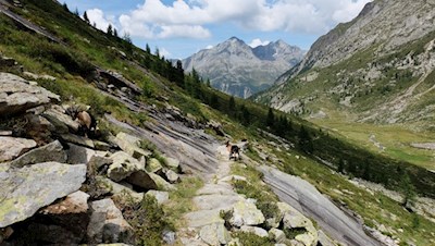 Anstieg hinter der Gelttalalm
