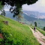 Der Weg Nr. 1A führt mit Blick auf den Latemar zum Karerpass zurück