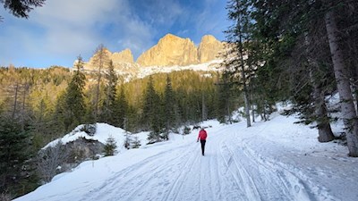 Vor der Kulisse des Rosengarten zur Masarè Hütte
