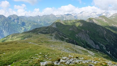 Über ihren breiten Grasrücken auf die Henne