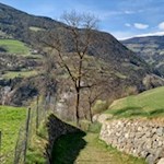 Der Anstieg nach Albions führt durch Wiesen und Wälder