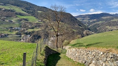 Der Anstieg nach Albions führt durch Wiesen und Wälder