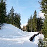 Auf der bestens präparierten Rodelbahn Weißenbach