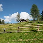 Die Taistner Alm liegt inmitten idyllischer Weidewiesen
