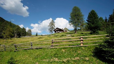 Die Taistner Alm liegt inmitten idyllischer Weidewiesen