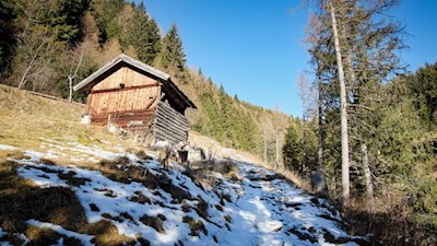 Hinter der letzten Mühle nimmt der Wanderweg in Richtung Gols seinen Anfang