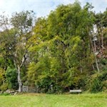 Längs des Weges laden Aussichtsbänke zum Verweilen ein