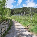 Auf dem Weg zum Riffianer Waalweg