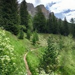 Auf schmalen Pfaden zurück zum Karerpass