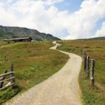 Almidyll pur - unterwegs auf der Villanderer Alm