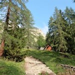 Langsam lichtet sich der Wald