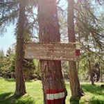 Die Wanderung zum Dolomitenblick ist bestens ausgeschildert