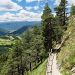 Nahe dem Wegkreuz "Peter Frag"