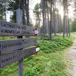 Unsere Wanderung zur Rinderplatz Hütte ist gut ausgeschildert