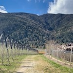 Von Neustift zum Vahrner See