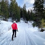 Durch den winterlichen Wald zur Masarè Hütte