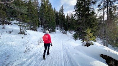 Durch den winterlichen Wald zur Masarè Hütte