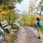 Herbstwanderung auf dem Lengsteiner Rundwanderweg