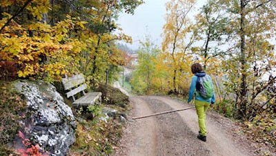 Herbstwanderung auf dem Lengsteiner Rundwanderweg