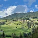 Unser Blick schweift ins höher gelegene Telfes