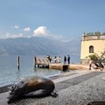 Il-Porto-Vecchio-di-Malcesine