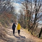 Zurück zum Kalterer See