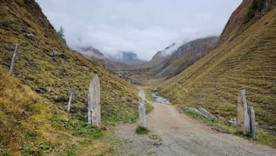 Hinter der Brücke wandert man auf dem breiten Wanderweg zur nahen Gampielalm weiter