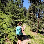 Der Weg Nr. 36 führt im angenehmen Anstieg durch den Wald