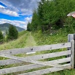 Schließlich verlassen wir den Mühlenweg und wandern auf dem Vilesweg zum Parkplatz zurück