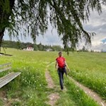 Durch bunte Frühlingswiesen zum Berggasthaus Tomanegger