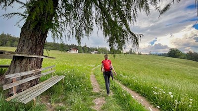 Durch bunte Frühlingswiesen zum Berggasthaus Tomanegger