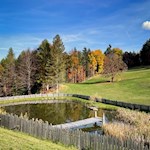 Weiher auf dem Weg nach Lichtenstern