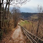 Auf dem Völser Rundweg