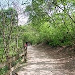 Auf dem Weg zur Haselburg