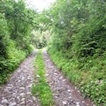 Zunächst folgen wir dem Panoramaweg