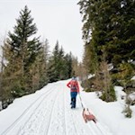 Winterwanderung zur Weizgruberalm