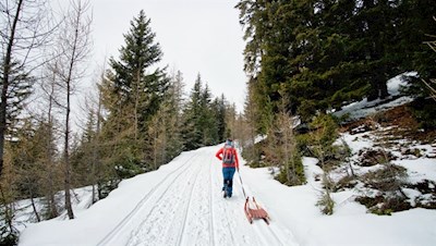 Winterwanderung zur Weizgruberalm