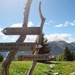 Vom Weg Nr. 8 zweigt schließlich der Weg Nr. 9A zur Pfnatschalm ab