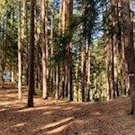 Der Rundweg Bergl ist gut markiert