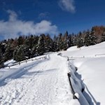 Rodelbahn Klausner Hütte